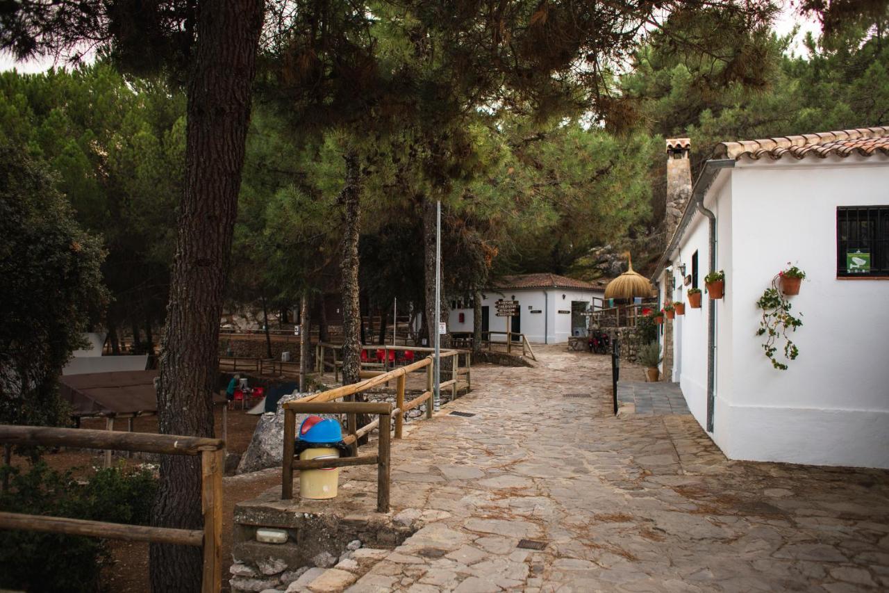 Camping Tajorodillo Grazalema Eksteriør bilde