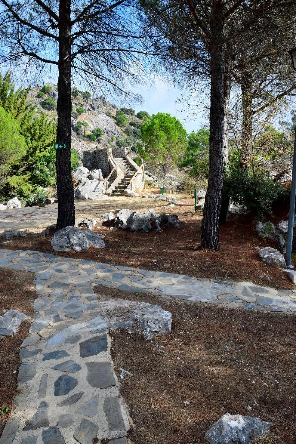 Camping Tajorodillo Grazalema Eksteriør bilde