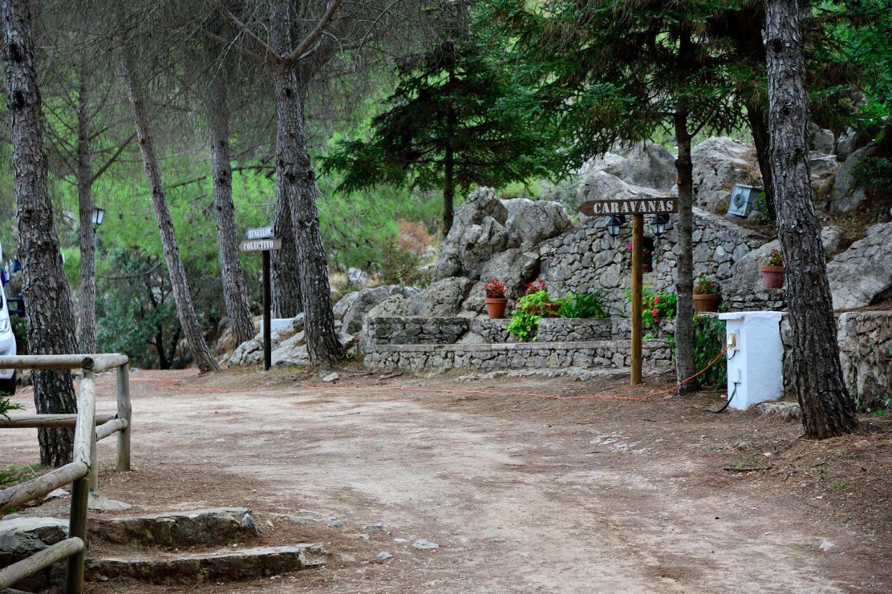 Camping Tajorodillo Grazalema Eksteriør bilde